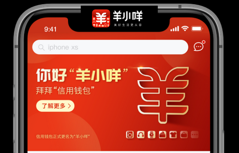 羊小咩额度变现失败与便荔卡支付问题全攻略：原因解析与实用解决方案