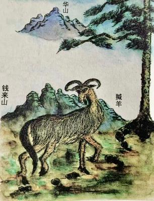 山海经：西山一经！ 山海经 钱来山 第1张