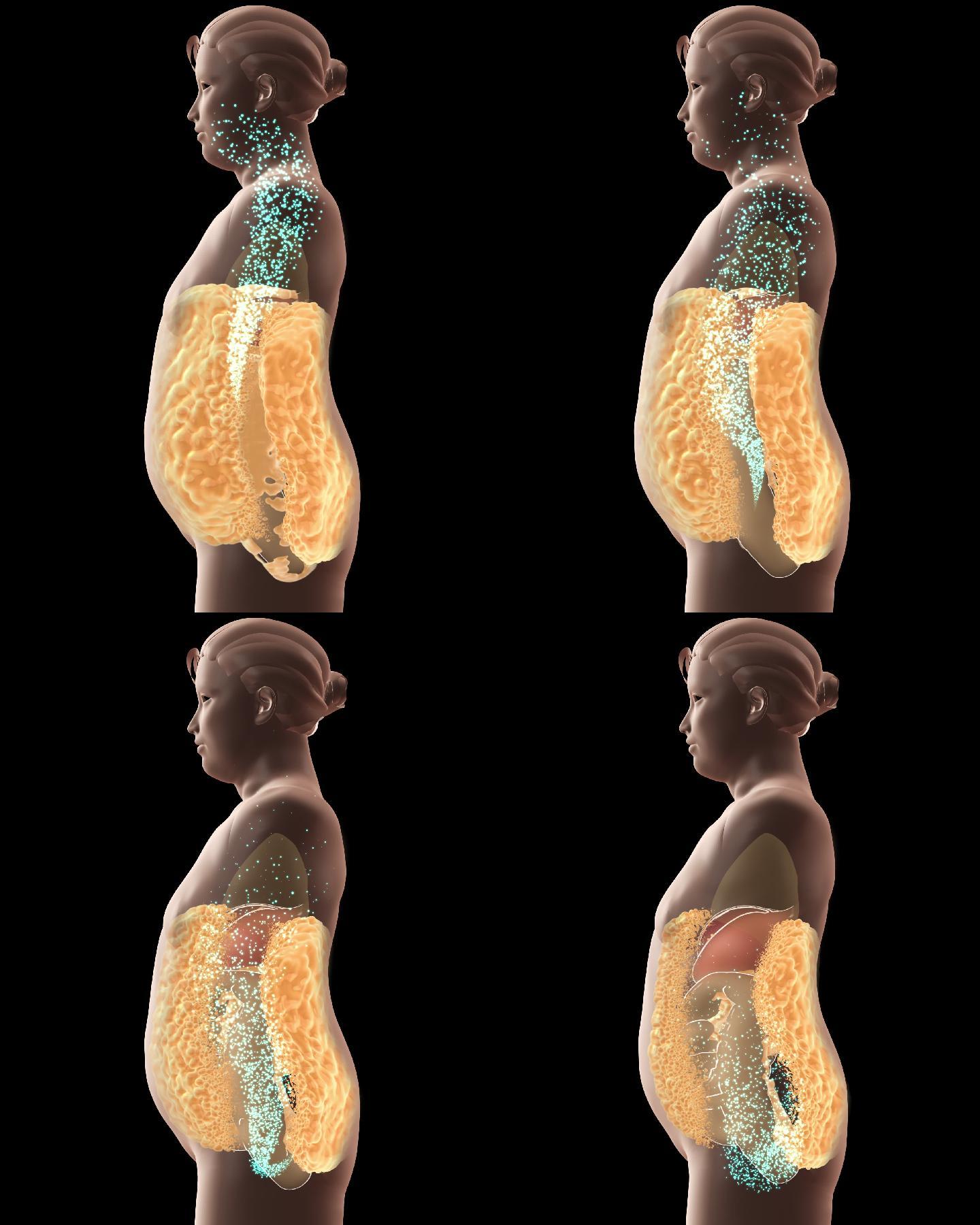 t0421d11293e623ab84.webp t0421d11293e623ab84.webp