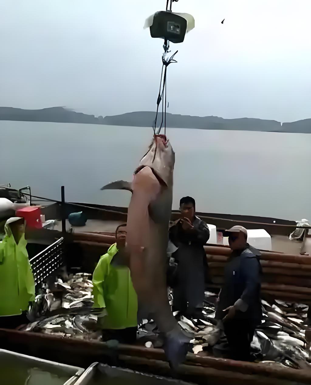 11gif.webp 11gif.webp