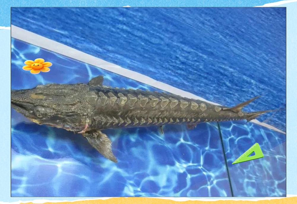 12.gif.webp 12.gif.webp