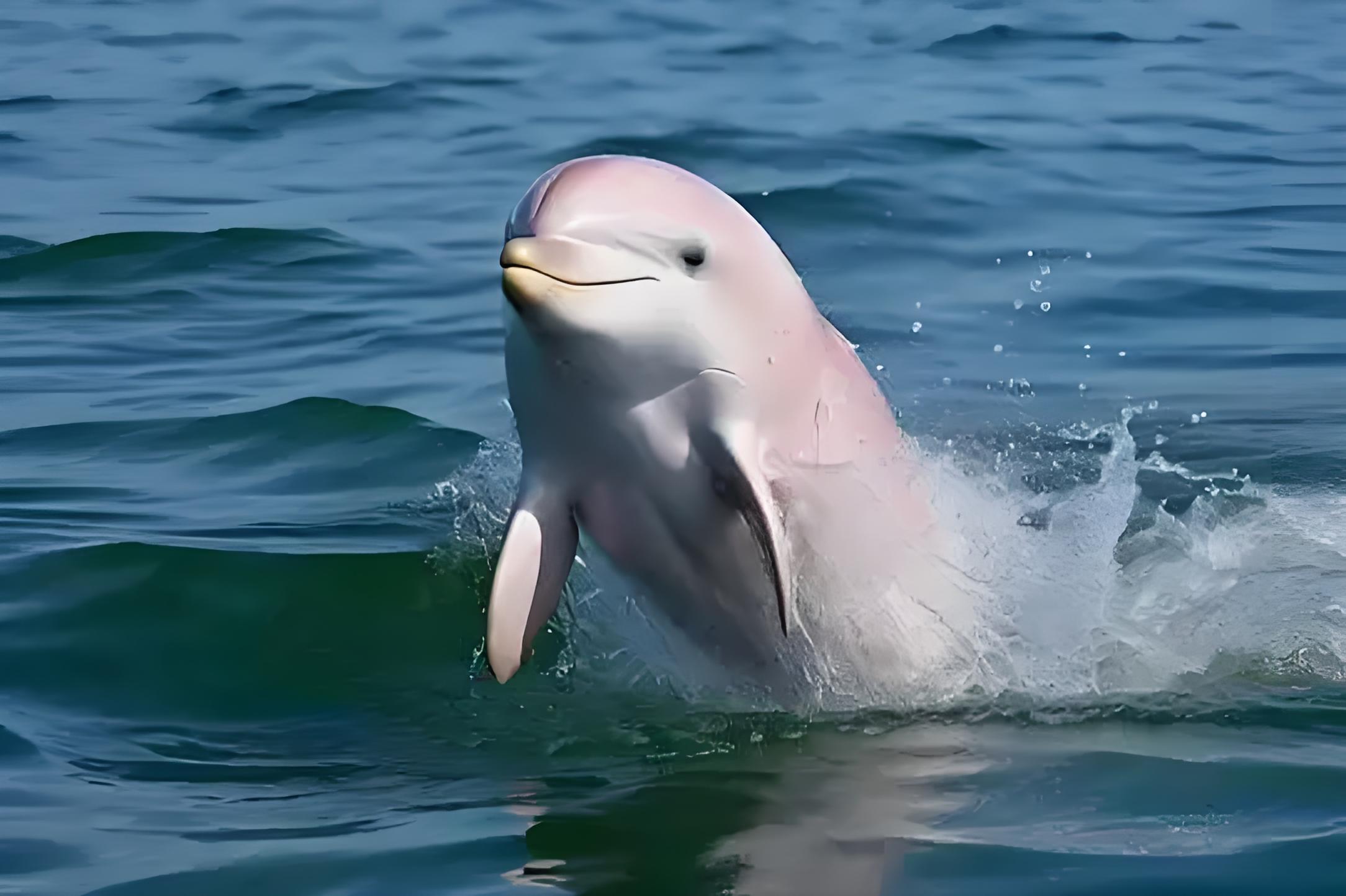 41gif.webp 41gif.webp