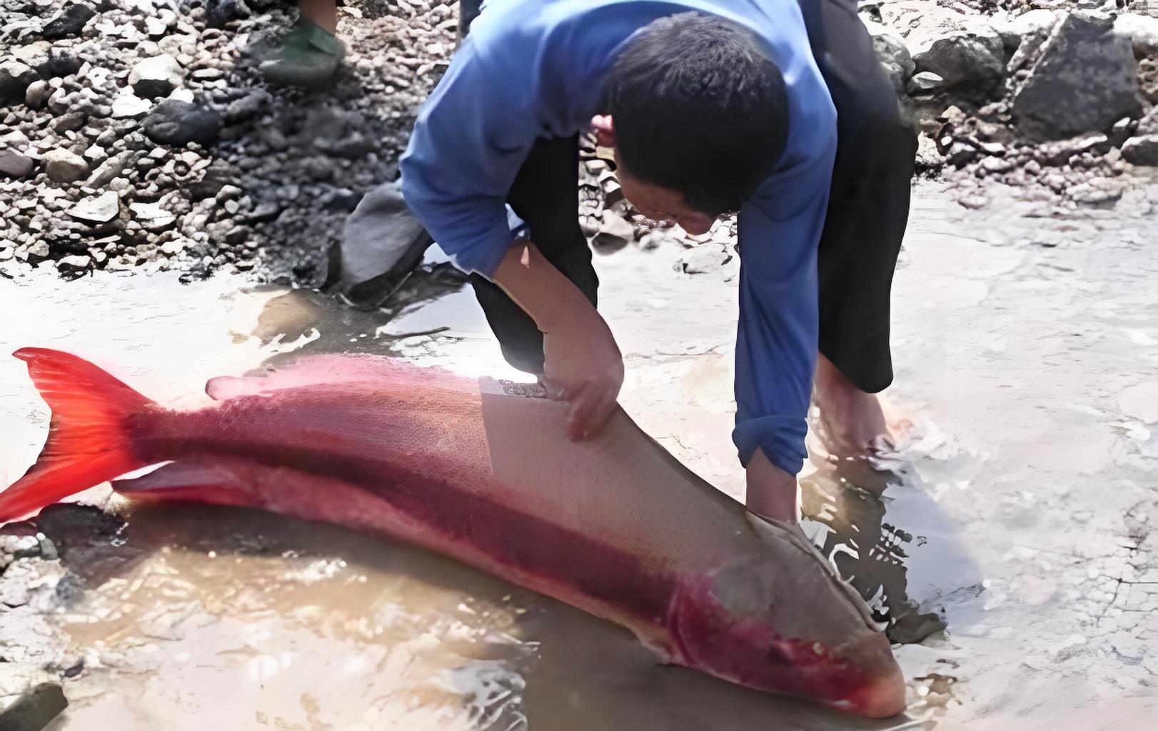 55f (2).webp 55f (2).webp